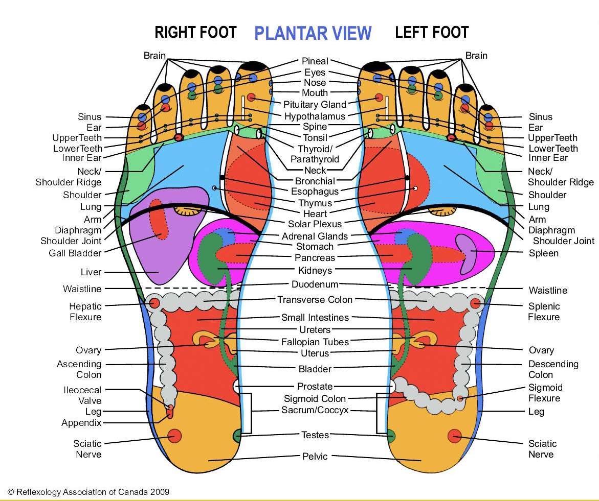 Foot Wheel Massager - shoppe list
